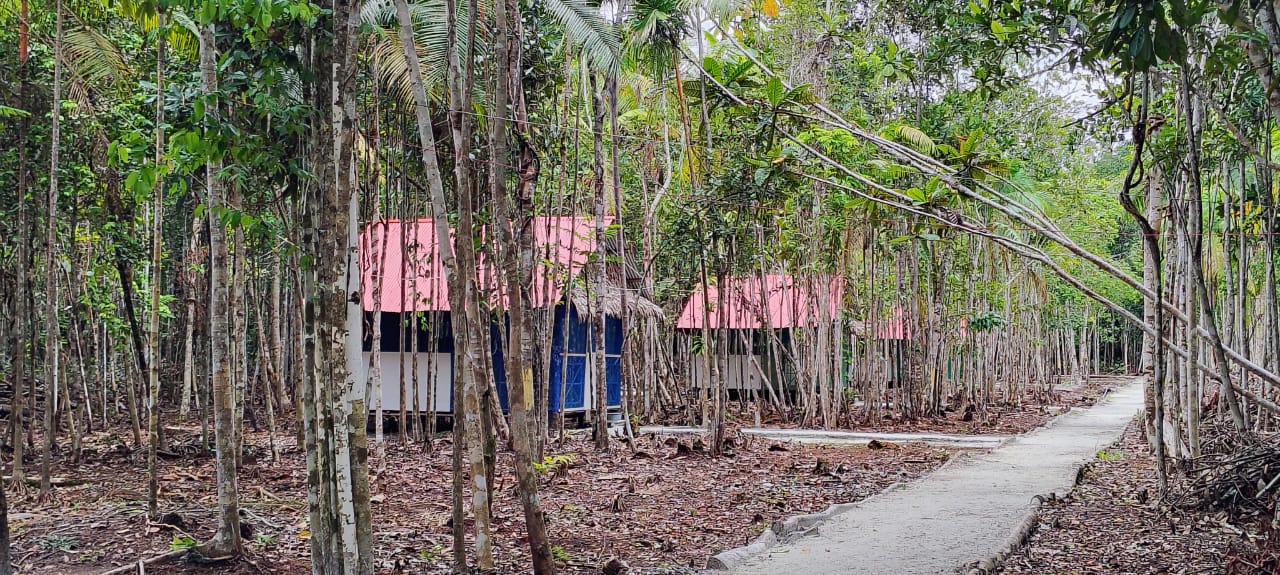 Ceremonia de Ayahuasca