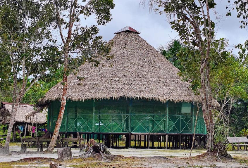 Patrón Shipibo ancestral